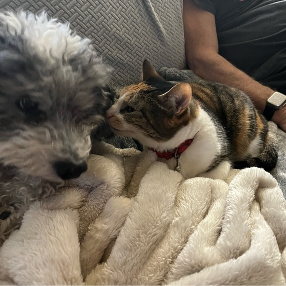 Meet your Posher, Nancy - Picture 2 of 2